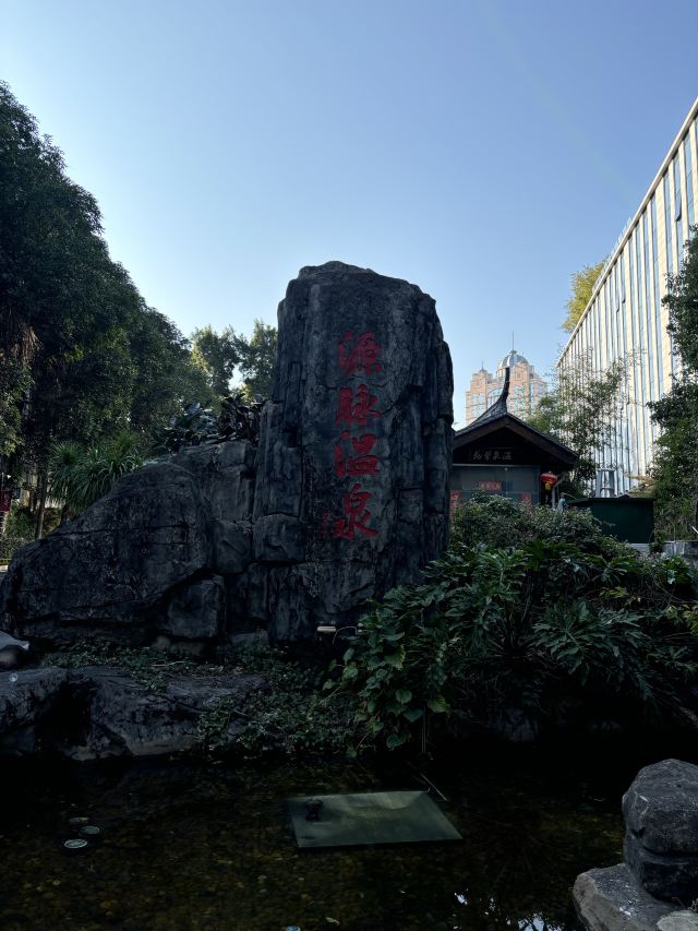 源脉温泉旅行图片 2