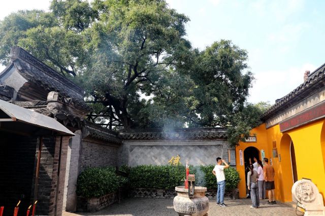 溱潼古镇旅游区旅行图片 3