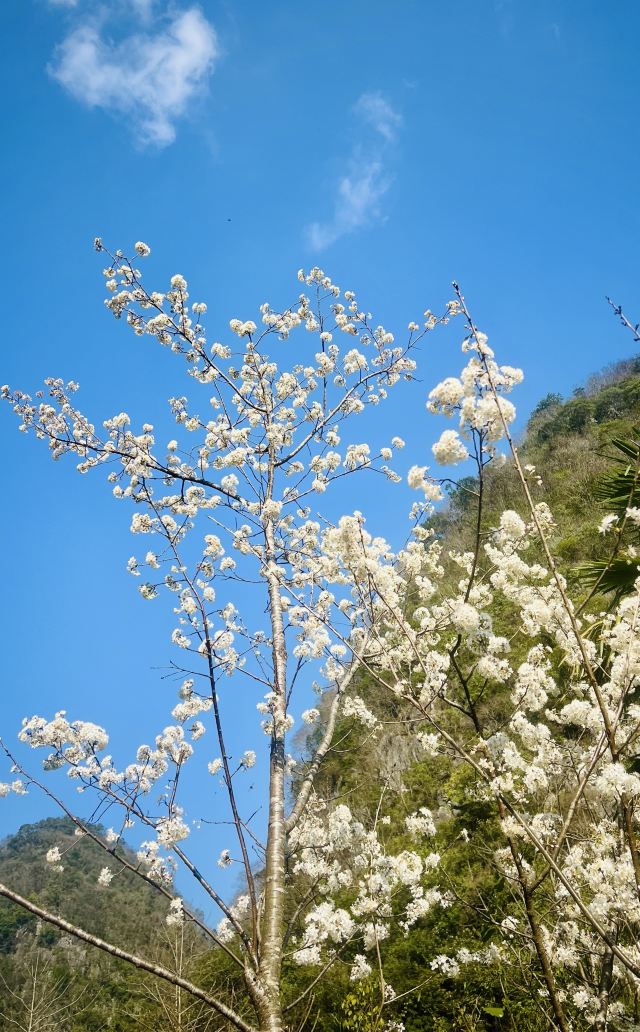 龙宫风景区旅行图片 6