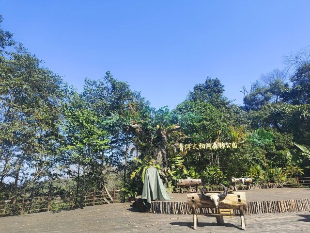 普洱太阳河森林公园旅行图片 4