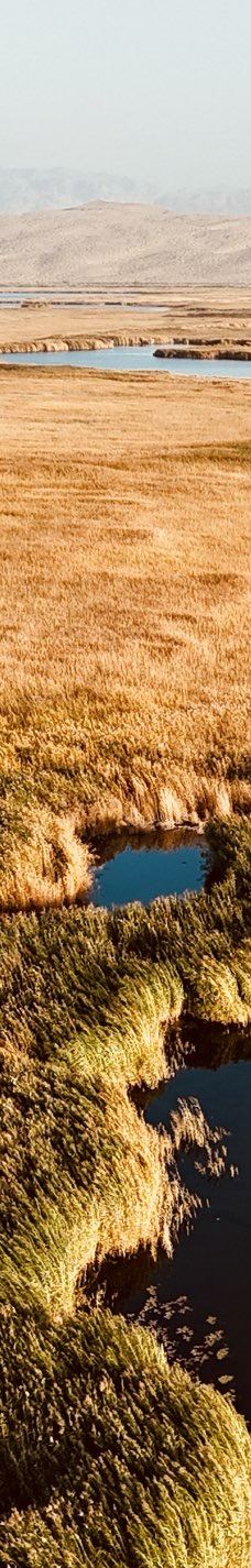 莲海世界-博湖-无厘头2006