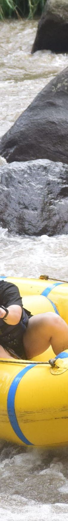 巴厘岛-A慢病调理&绿色疗法