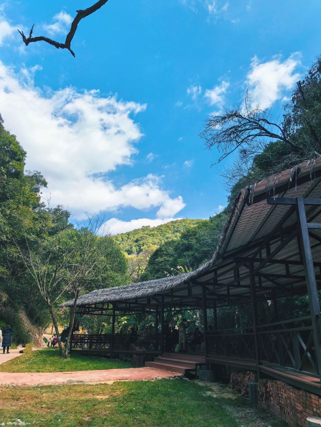 霖溪林风景区旅行图片 1