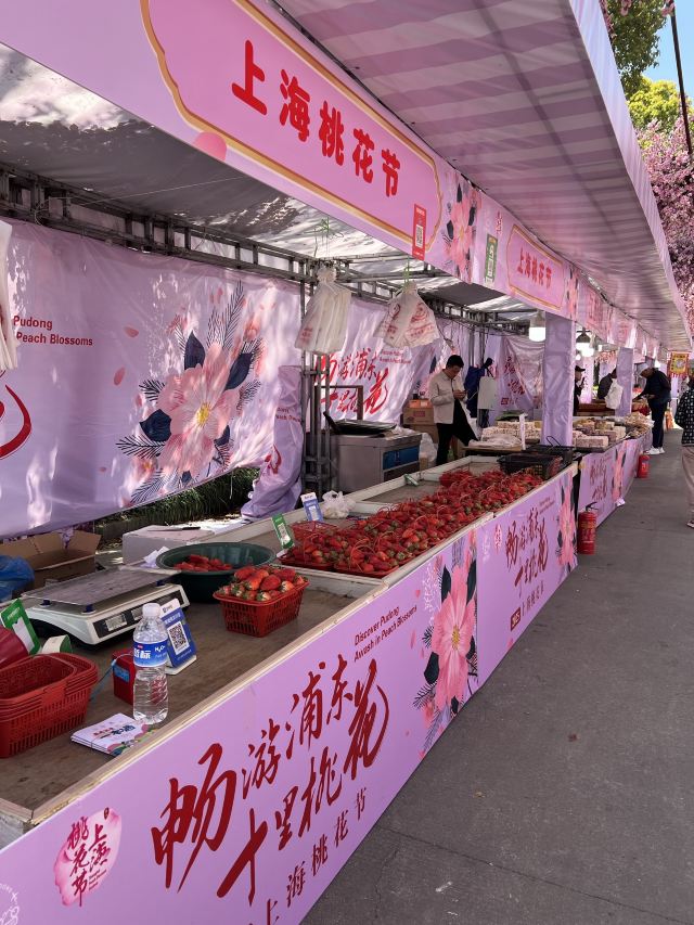 上海南汇桃花村旅行图片 2