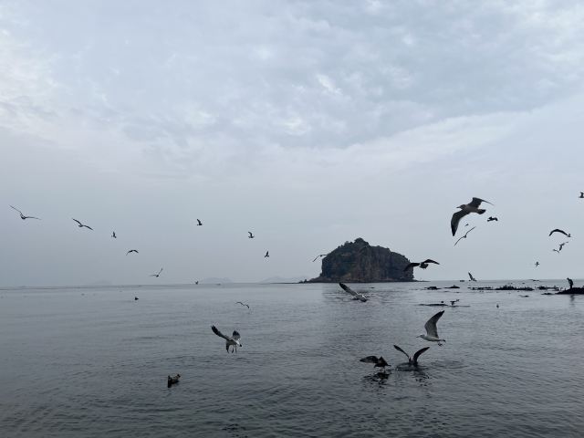 棒棰岛旅行图片 2