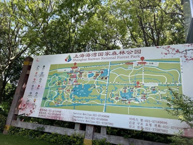 上海海湾国家森林公园旅行图片 4