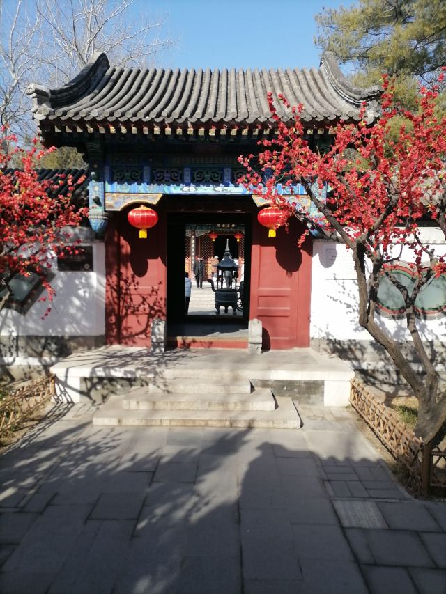 大观园旅行图片 2