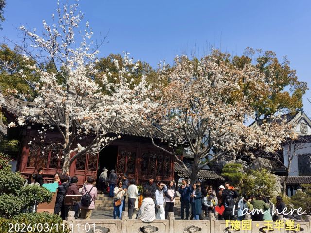 上海豫园旅行图片 2