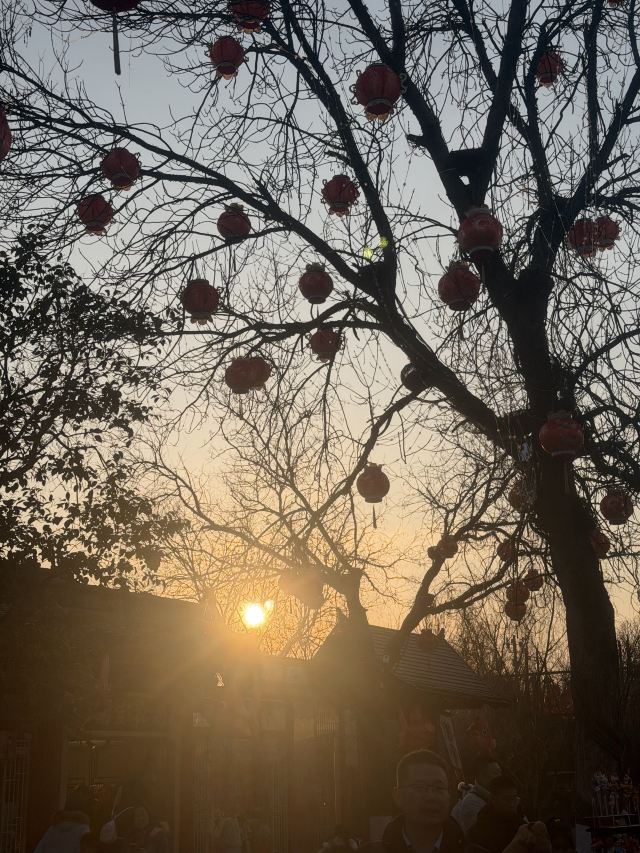 清明上河园旅行图片 3