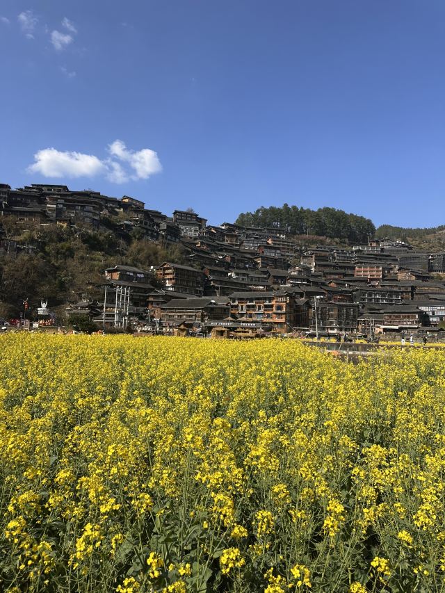 西江千户苗寨旅行图片 9
