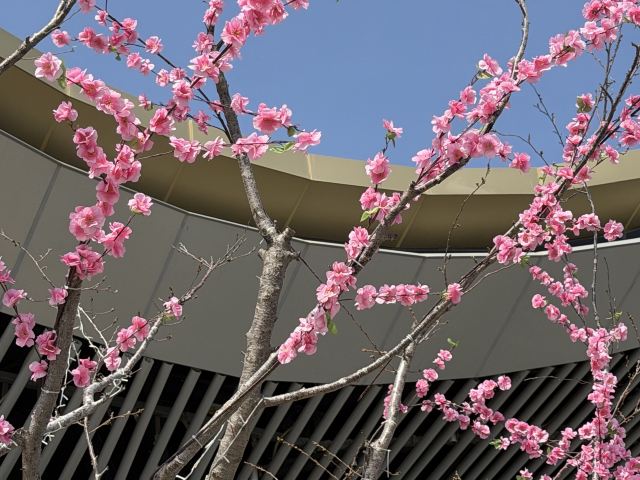 东方伊甸园旅行图片 1