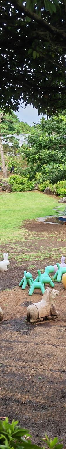 山茶花之丘-西归浦市-田佳