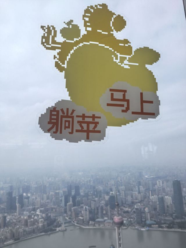 陆家嘴中心绿地旅行图片 4