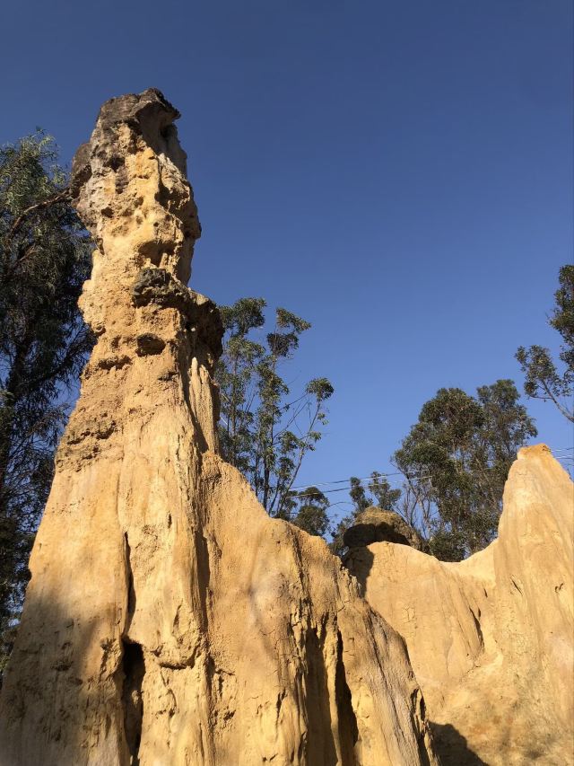 土林旅行图片 8