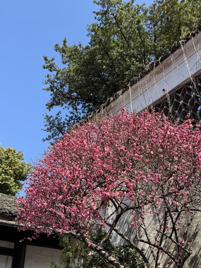 鲁迅故里旅行图片 2
