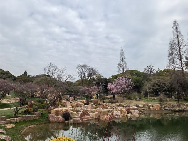 荣氏梅园旅行图片 3