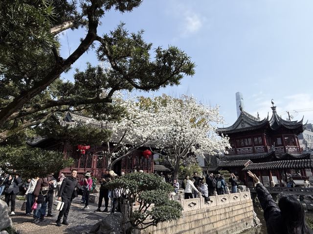 上海豫园旅行图片 1