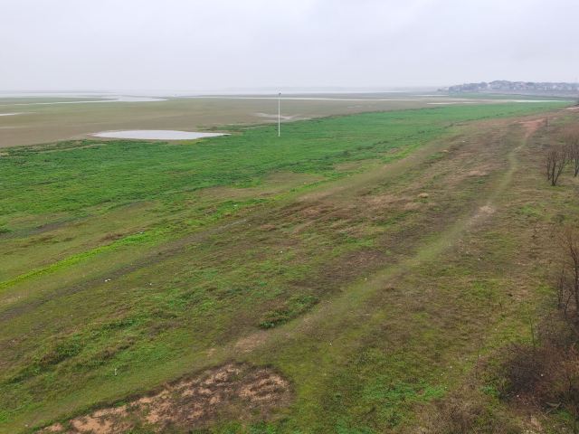 鄱阳湖国家湿地公园旅行图片 4