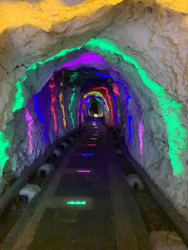 上关花·天龙洞景区旅行图片 3