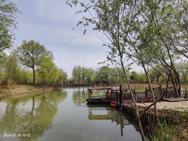 长兴太湖图影湿地文化园-观景塔旅行图片 1