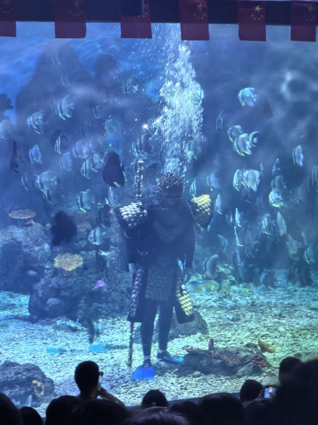 广汉海昌海洋探索馆旅行图片 3