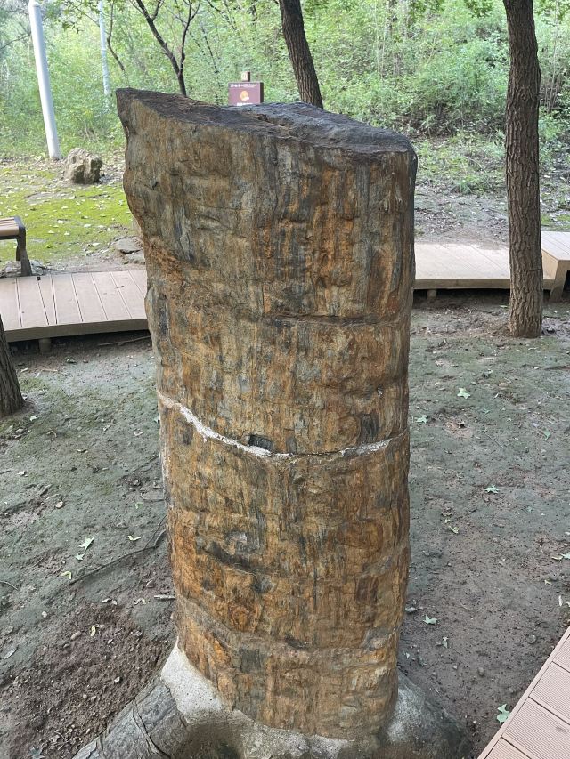 百里山水画廊旅行图片 4