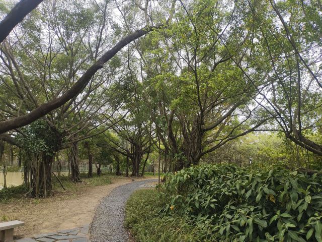 小鸟天堂旅行图片 2