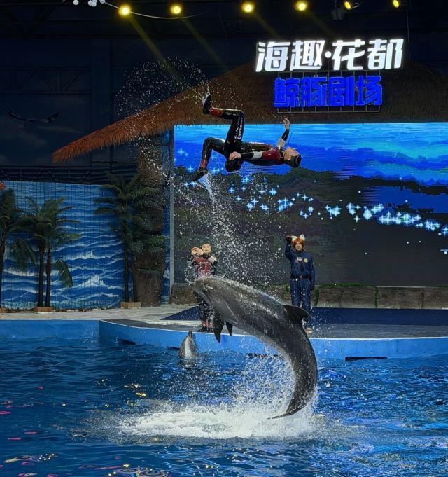 昆明海趣花都海洋世界旅行图片 1