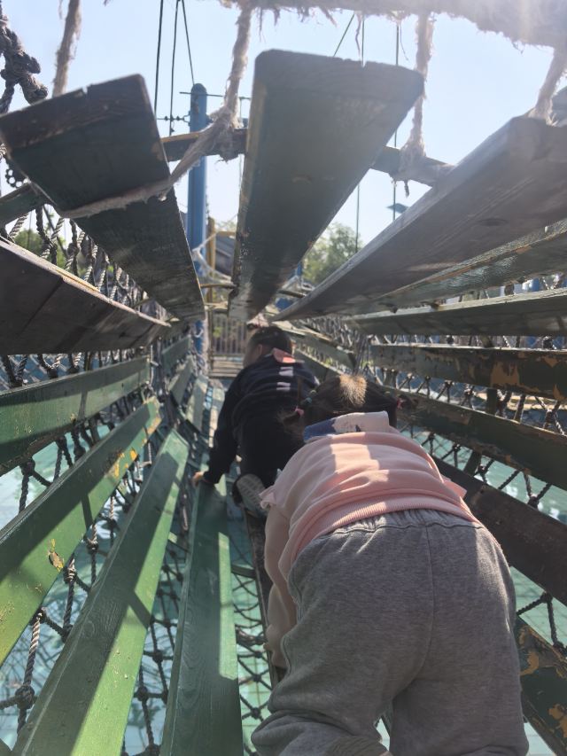 湖南常德野生动物世界旅行图片 2