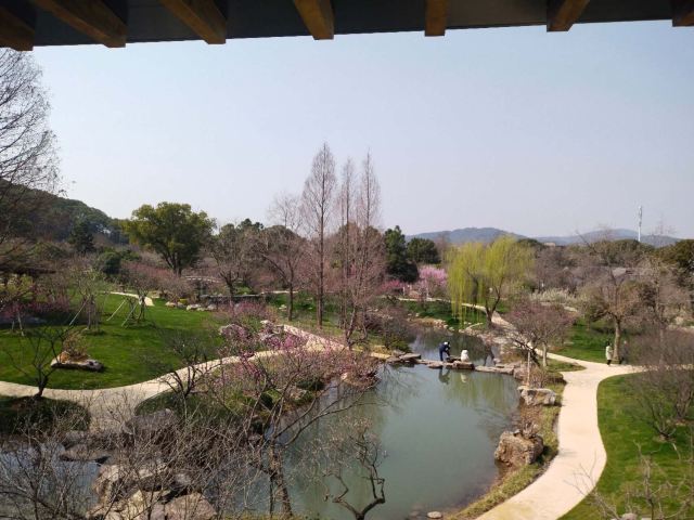 荣氏梅园旅行图片 4