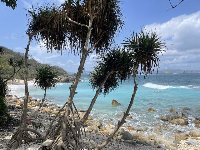 蜈支洲岛旅游风景区旅行图片 4