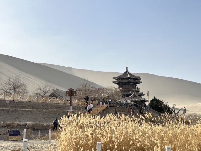 鸣沙山月牙泉旅行图片 5