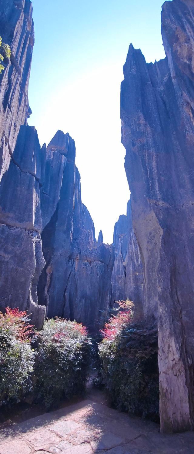 石林风景区旅行图片 3