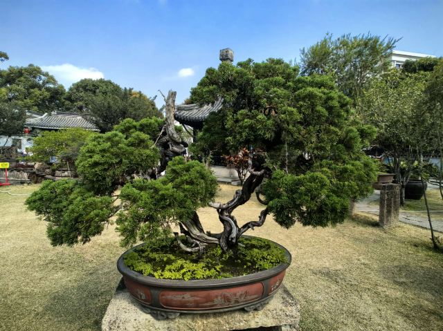中山詹园旅行图片 7