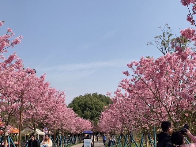 江西省凤凰沟风景区旅行图片 3