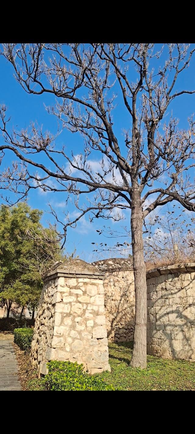 新乡潞王陵景区旅行图片 3