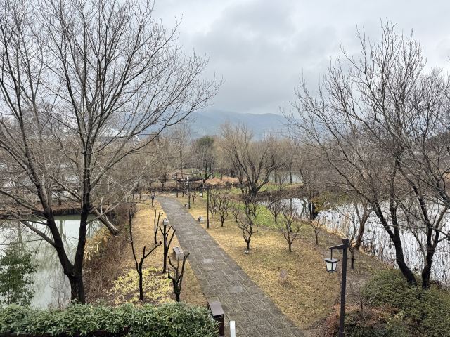 长兴太湖图影湿地文化园-观景塔旅行图片 4