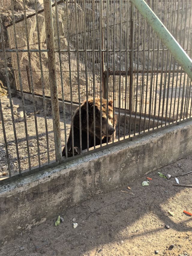 八达岭野生动物世界旅行图片 3