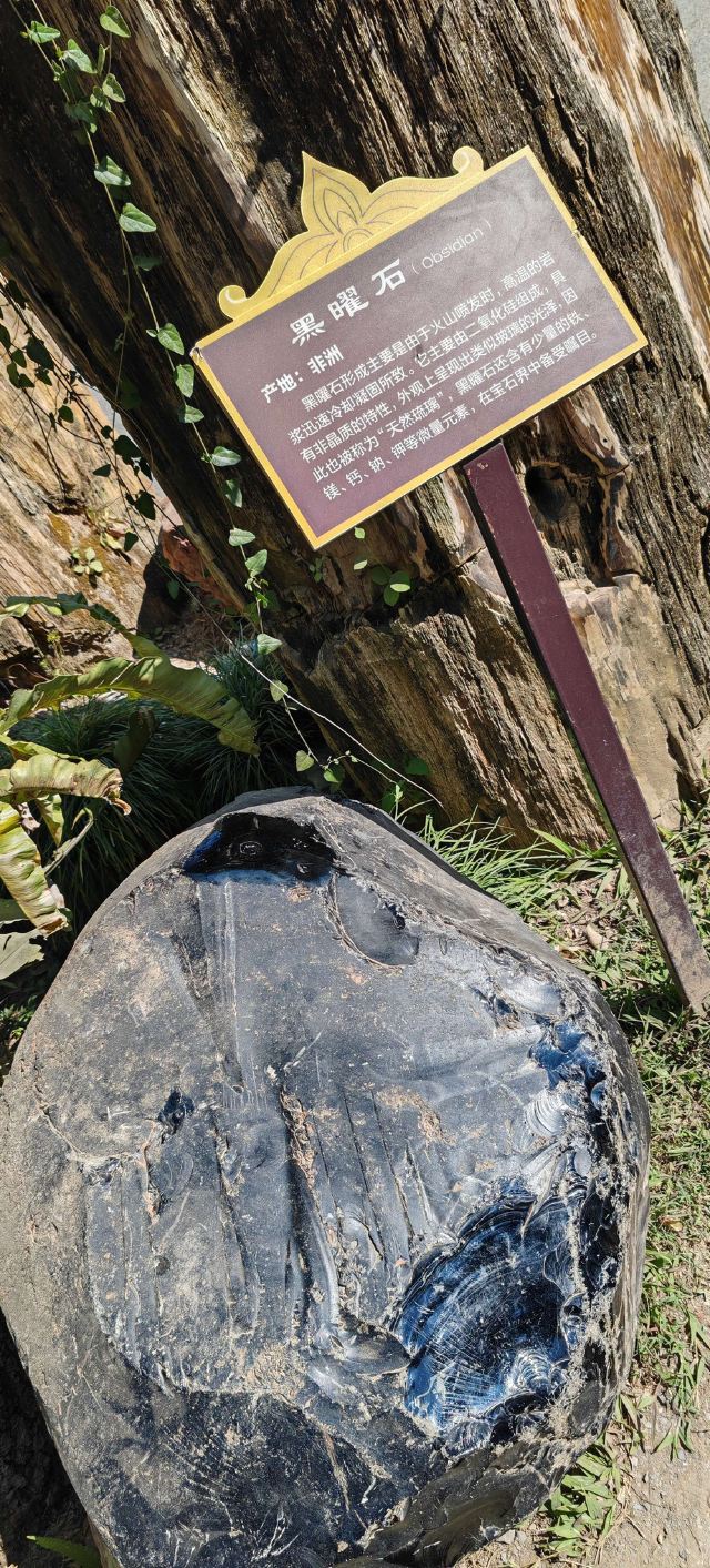 勐巴娜西珍奇园旅行图片 2