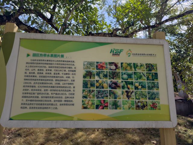 七仙岭全球热带水果博览中心旅行图片 3