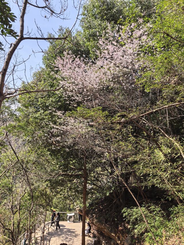天台山国家级风景名胜区旅行图片 3