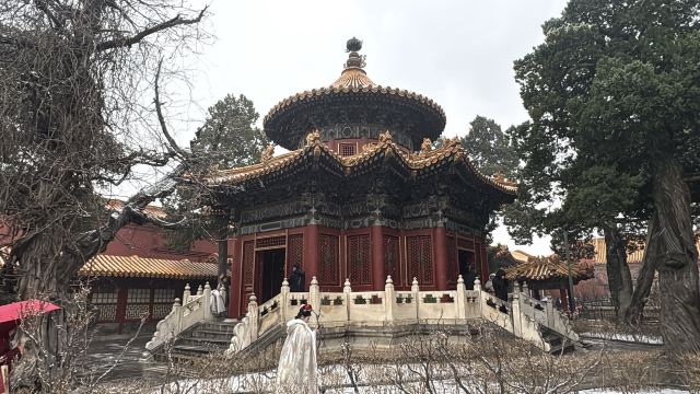 故宫博物院旅行图片 6