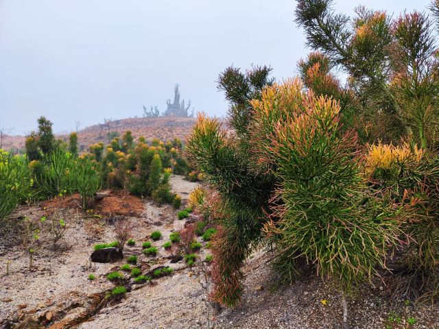 蜗牛村旅行图片 1