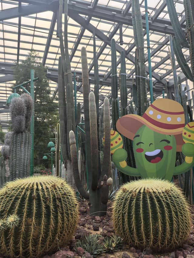 南昌珍奇植物园旅行图片 1