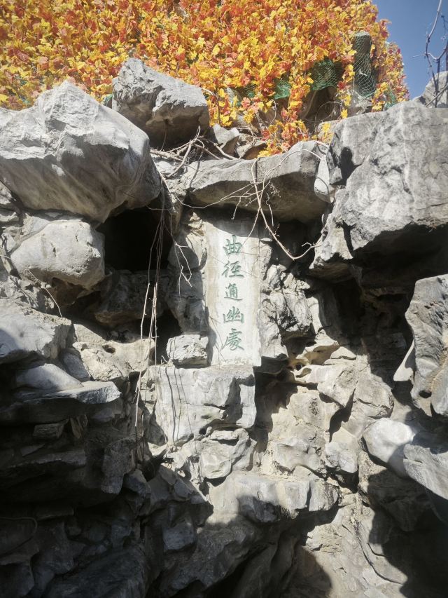 大观园旅行图片 1