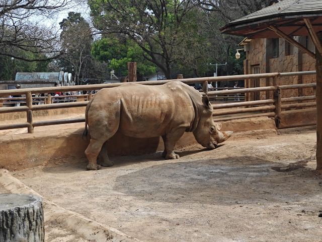 昆明动物园旅行图片 2