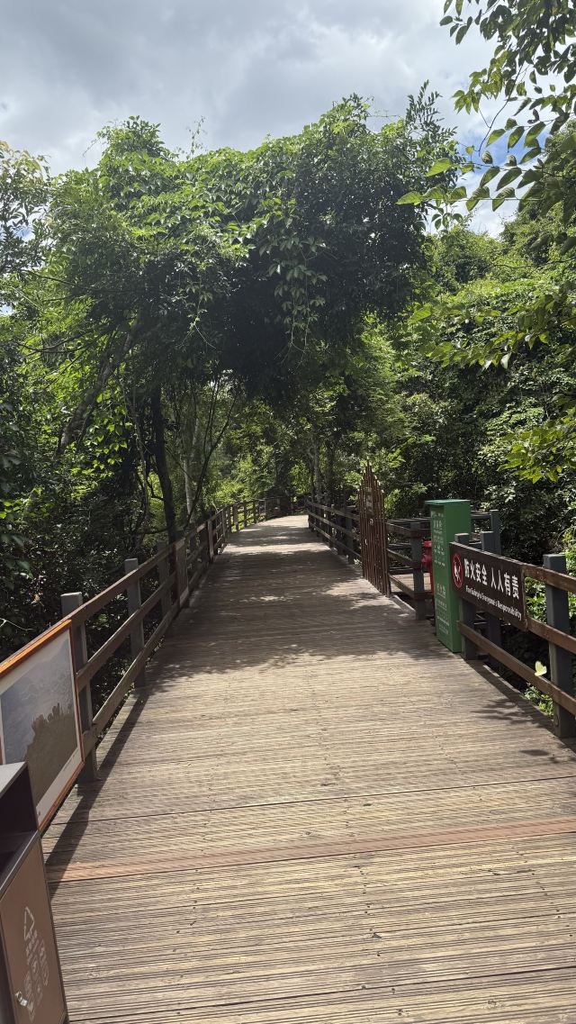 野象谷景区旅行图片 4