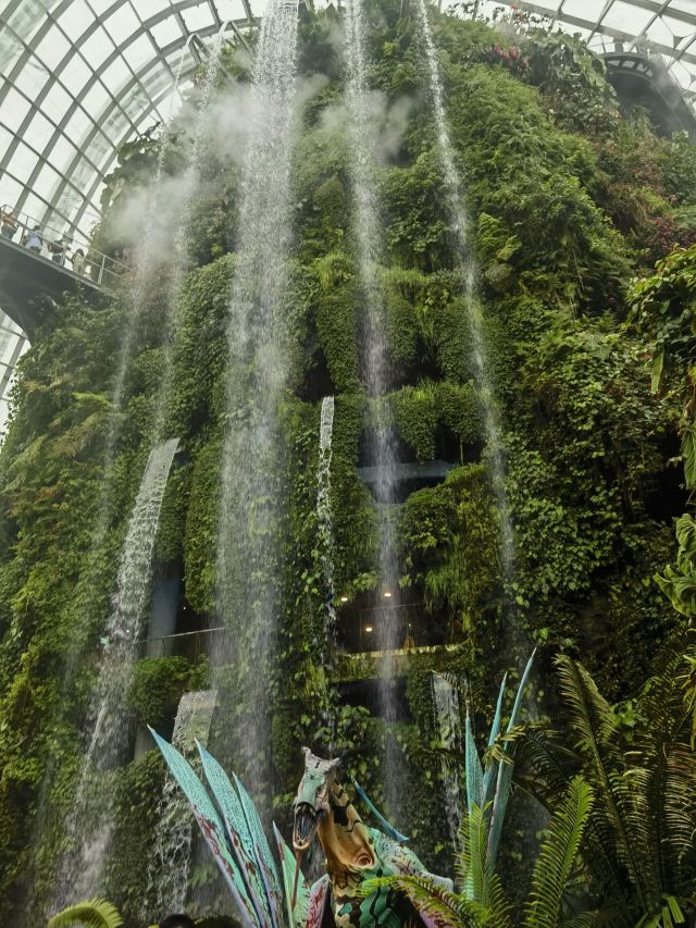 新加坡新加坡滨海湾花园游玩攻略简介,新加坡新加坡滨海湾花园门票/地址/图片/开放时间/照片/门票价格【携程攻略】