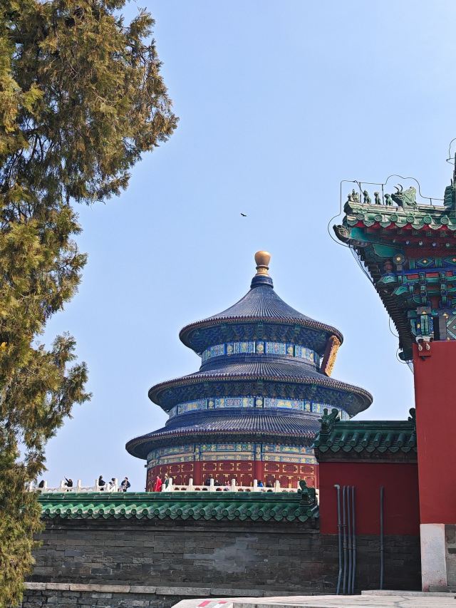 天坛公园旅行图片 9