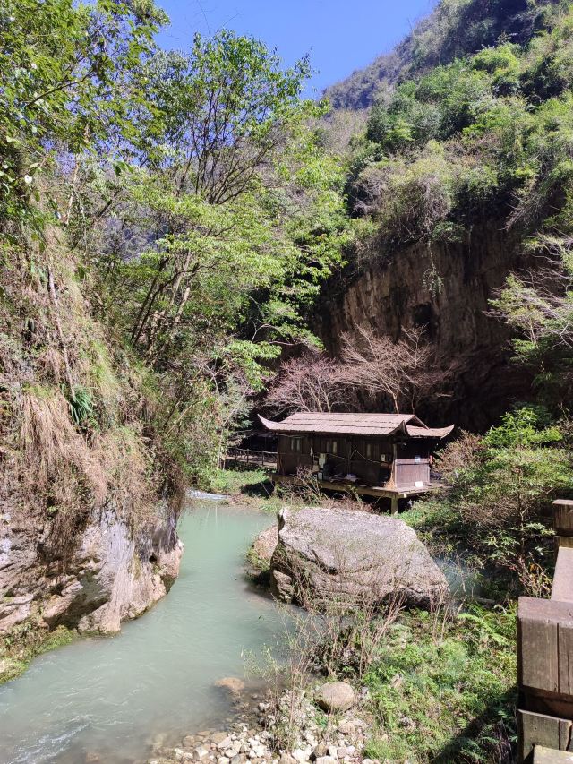 张家界大峡谷旅行图片 5